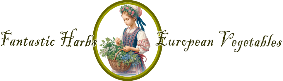 パクチーなど新鮮野菜の全国発送